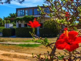 Apartamento Casa Relax Acqua Marina Favignana Exterior foto