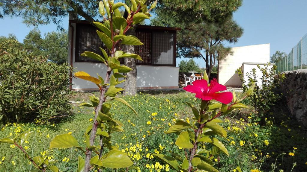 Apartamento Casa Relax Acqua Marina Favignana Exterior foto